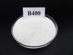 DSC02464_コピー-300x225