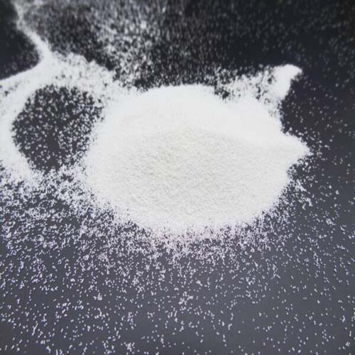 DSC02430_コピー-600x450